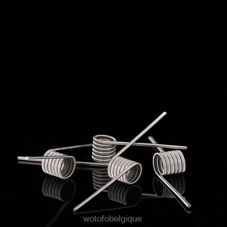 Clapton fusionné double cœur 0,65 ohm 5 mm 5 pièces Wotofo bobine d\'identification pré-construite - WOTOFO e-cigarette - Z8N2B347