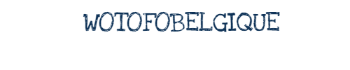 Wotofobelgique